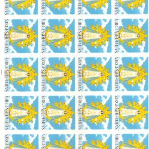 Virgen de Lujan  vidrio